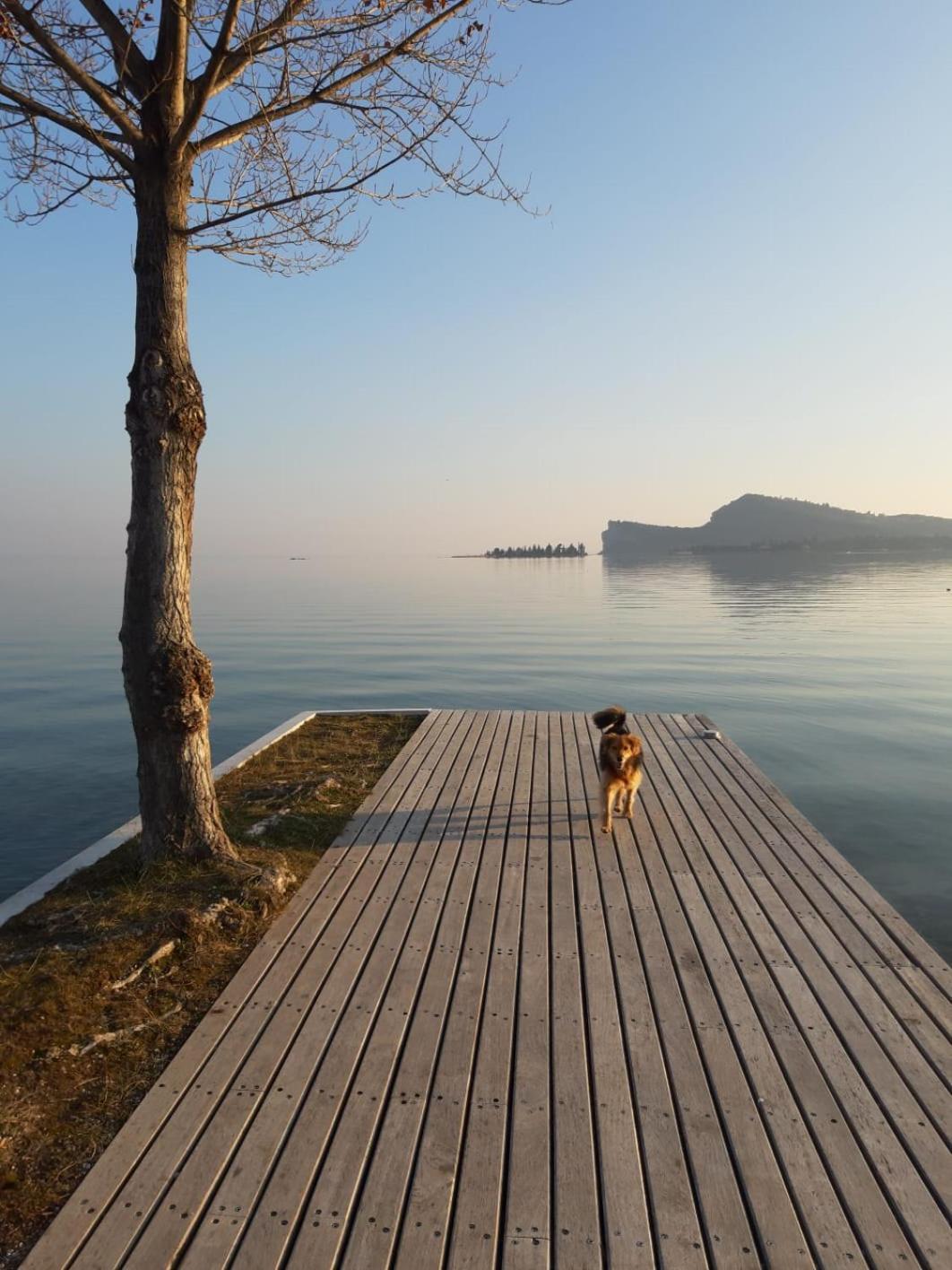 Casa Vacanze Gardiolina San Felice del Benaco Exterior foto